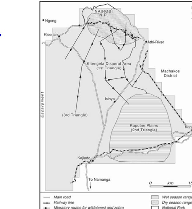 : Map of the Athi-Kaputie Ecosystem showing the three triangles, the migratory
route for wildebeests and zebra, and the wet and dry season wildlife ranges