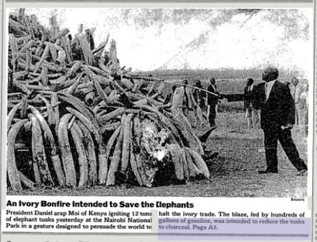 Image showing moi burning ivory in 1989