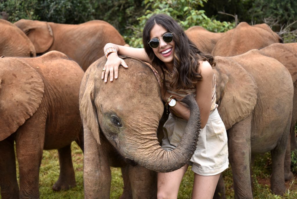 Nairobi national park