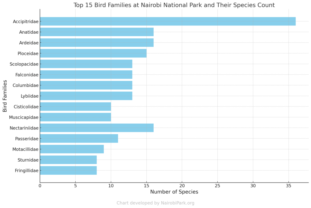 Top 15 Bird Families At Nairobi National Park And Their Species Count


