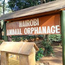 Nairobi Animal Orphanage3