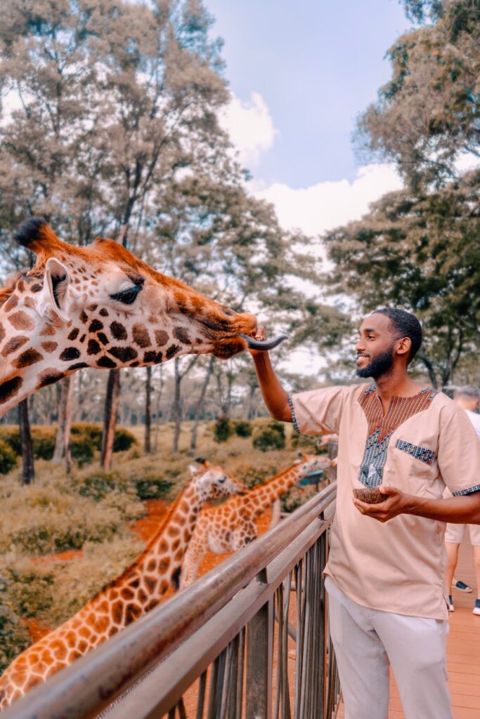 A smiling man interacts with giraffes at a zoo in Nairobi, Kenya.