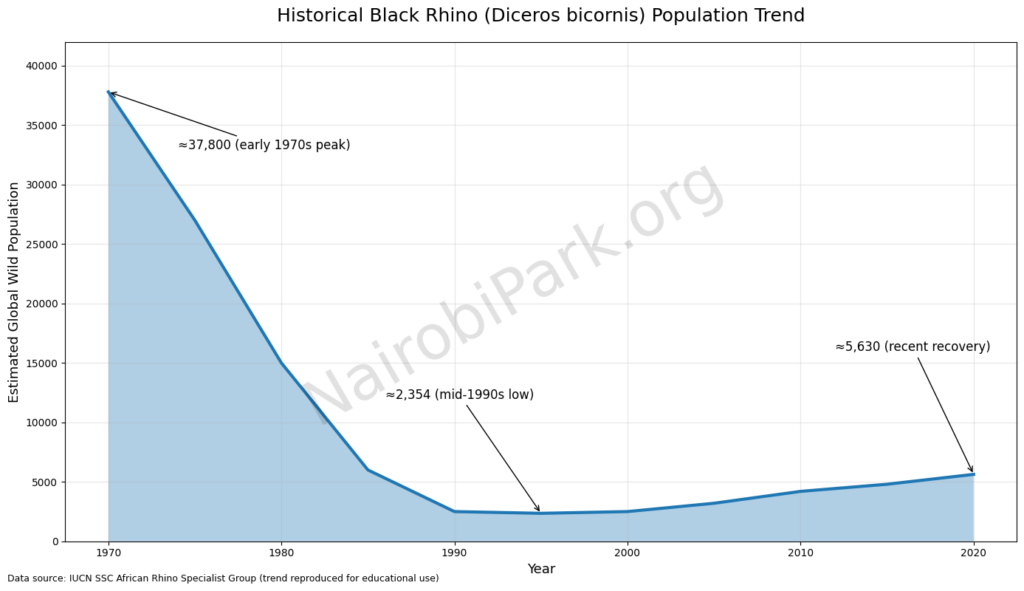 Historical Black Rhino Population showing Steady Decline from 1970s and 1980s before Bouncing Back