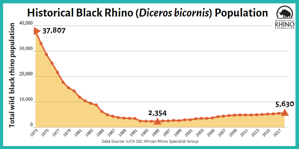 NairobiPark.org chart showing the peak population of black rhinos in 1970s before its declining hitting a low of 2,354 in 1990s.